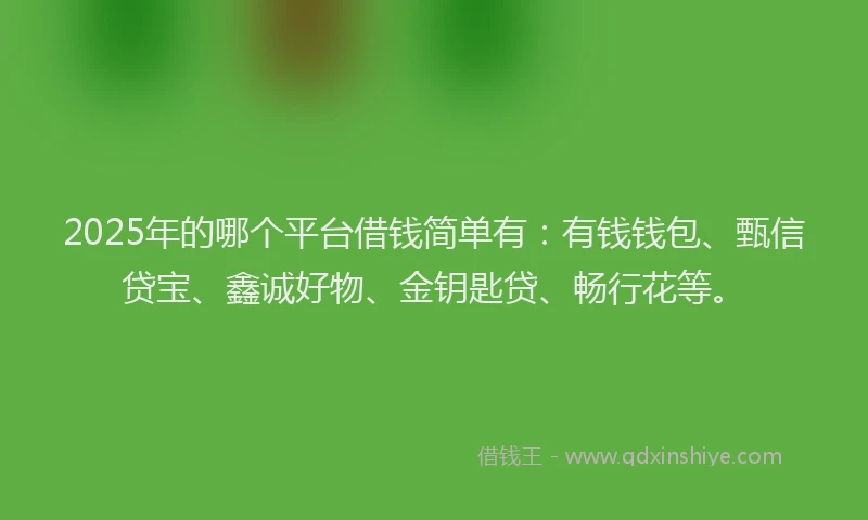 2025年的哪个平台借钱简单有：有钱钱包、甄信贷宝、鑫诚好物、金钥匙贷、畅行花等。