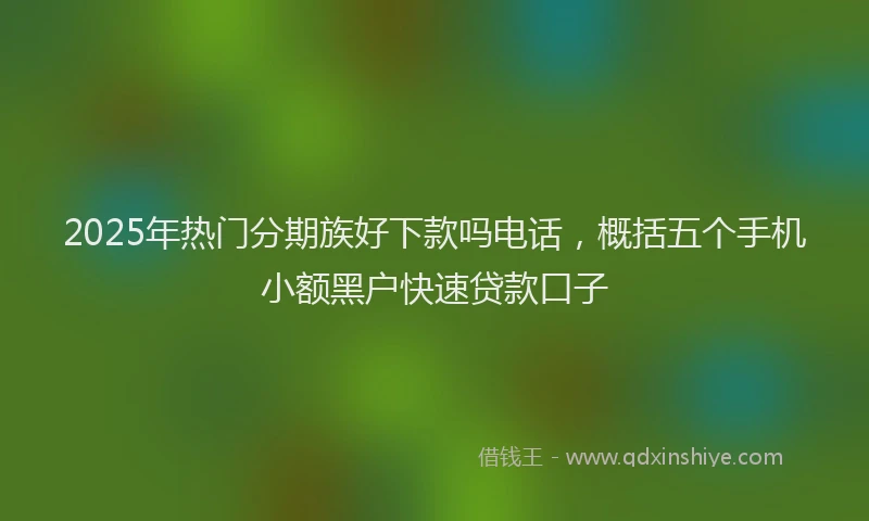 2025年热门分期族好下款吗电话，概括五个手机小额黑户快速贷款口子