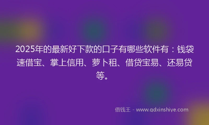 2025年的最新好下款的口子有哪些软件有：钱袋速借宝、掌上信用、萝卜租、借贷宝易、还易贷等。