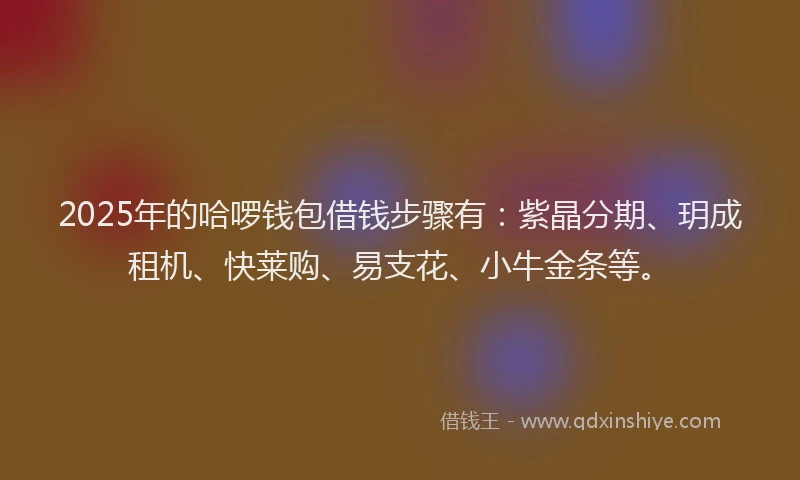 2025年的哈啰钱包借钱步骤有：紫晶分期、玥成租机、快莱购、易支花、小牛金条等。