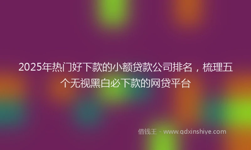 2025年热门好下款的小额贷款公司排名，梳理五个无视黑白必下款的网贷平台