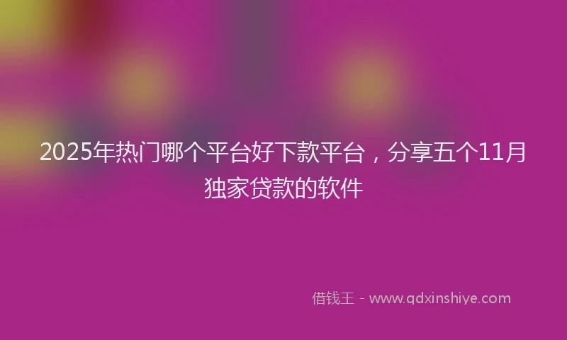 2025年热门哪个平台好下款平台，分享五个11月独家贷款的软件