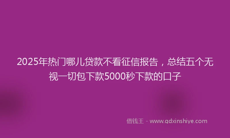 2025年热门哪儿贷款不看征信报告，总结五个无视一切包下款5000秒下款的口子
