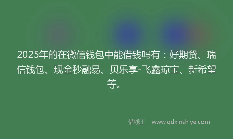 2025年的在微信钱包中能借钱吗有：好期贷、瑞信钱包、现金秒融易、贝乐享-飞鑫琼宝、新希望等。