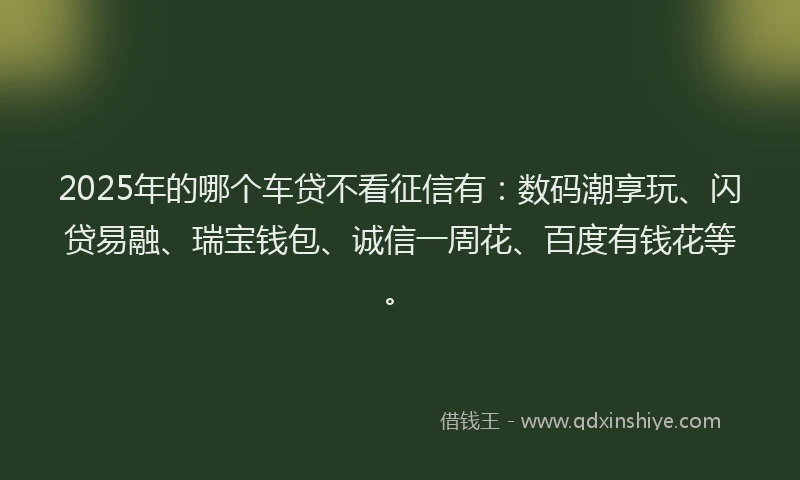 2025年的哪个车贷不看征信有：数码潮享玩、闪贷易融、瑞宝钱包、诚信一周花、百度有钱花等。