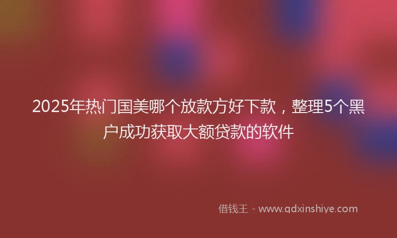 2025年热门国美哪个放款方好下款，整理5个黑户成功获取大额贷款的软件