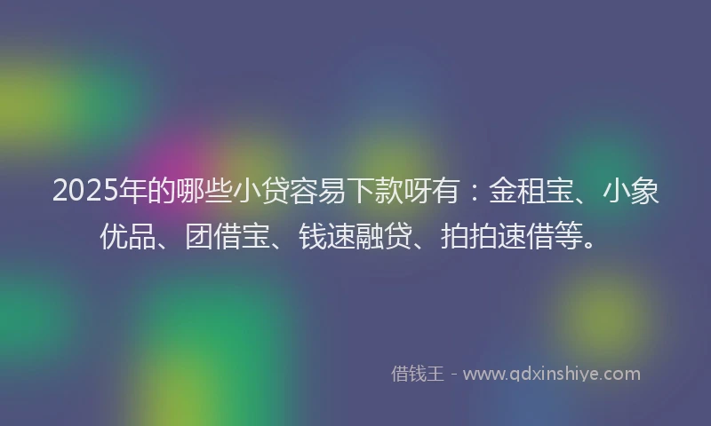 2025年的哪些小贷容易下款呀有：金租宝、小象优品、团借宝、钱速融贷、拍拍速借等。