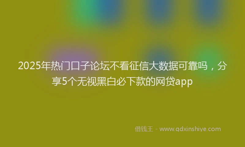 2025年热门口子论坛不看征信大数据可靠吗，分享5个无视黑白必下款的网贷app