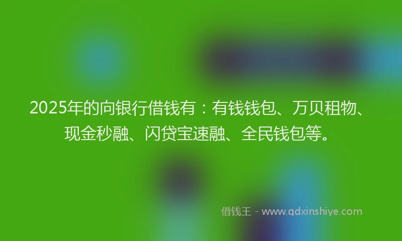 2025年的向银行借钱有：有钱钱包、万贝租物、现金秒融、闪贷宝速融、全民钱包等。