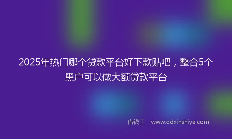 2025年热门哪个贷款平台好下款贴吧，整合5个黑户可以做大额贷款平台