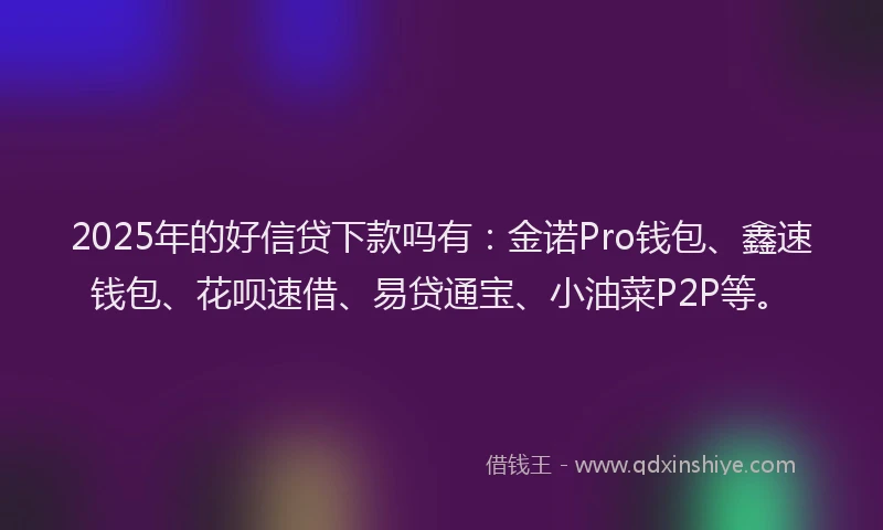 2025年的好信贷下款吗有：金诺Pro钱包、鑫速钱包、花呗速借、易贷通宝、小油菜P2P等。