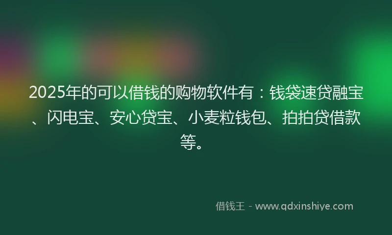 2025年的可以借钱的购物软件有：钱袋速贷融宝、闪电宝、安心贷宝、小麦粒钱包、拍拍贷借款等。
