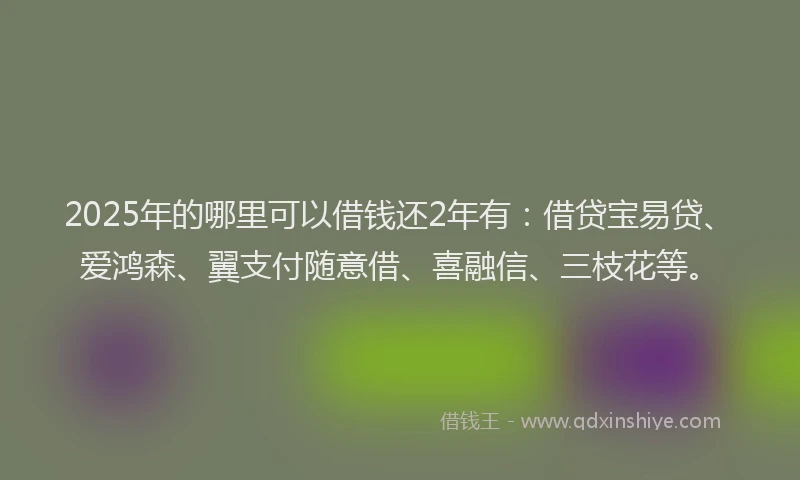 2025年的哪里可以借钱还2年有：借贷宝易贷、爱鸿森、翼支付随意借、喜融信、三枝花等。