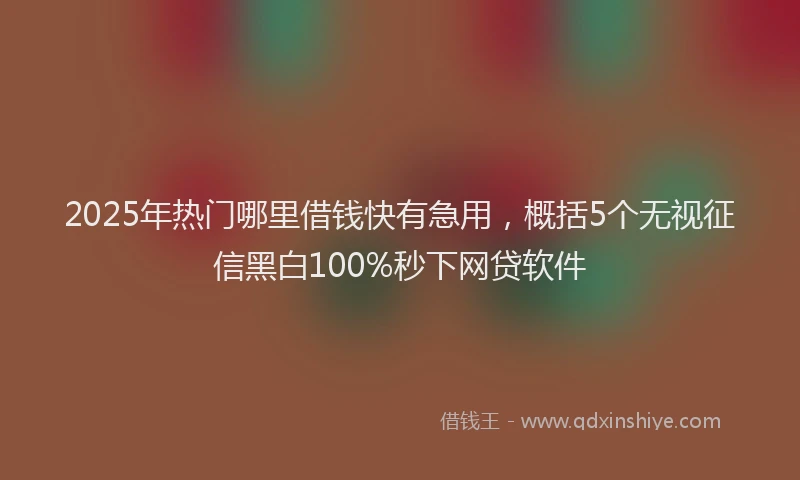 2025年热门哪里借钱快有急用，概括5个无视征信黑白100%秒下网贷软件
