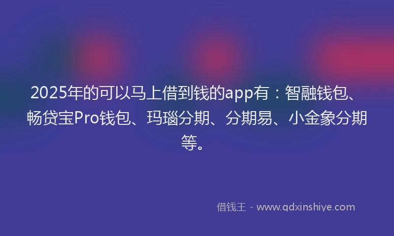 2025年的可以马上借到钱的app有：智融钱包、畅贷宝Pro钱包、玛瑙分期、分期易、小金象分期等。