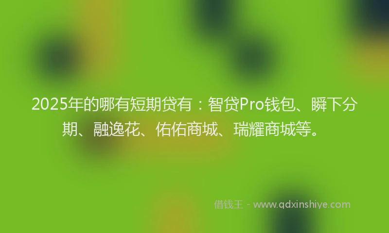 2025年的哪有短期贷有：智贷Pro钱包、瞬下分期、融逸花、佑佑商城、瑞耀商城等。