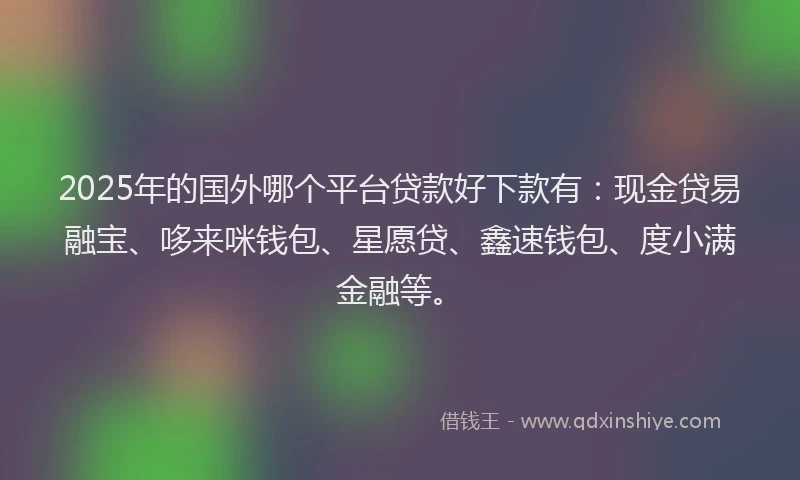 2025年的国外哪个平台贷款好下款有：现金贷易融宝、哆来咪钱包、星愿贷、鑫速钱包、度小满金融等。