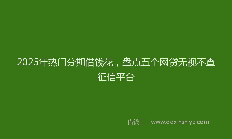 2025年热门分期借钱花，盘点五个网贷无视不查征信平台