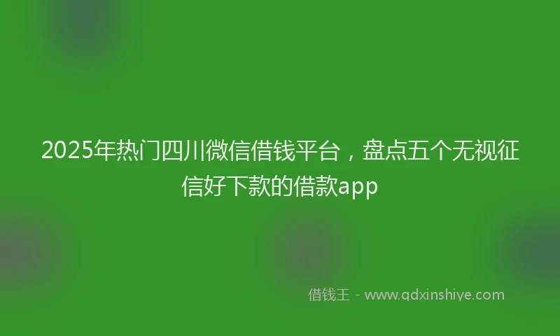 2025年热门四川微信借钱平台，盘点五个无视征信好下款的借款app