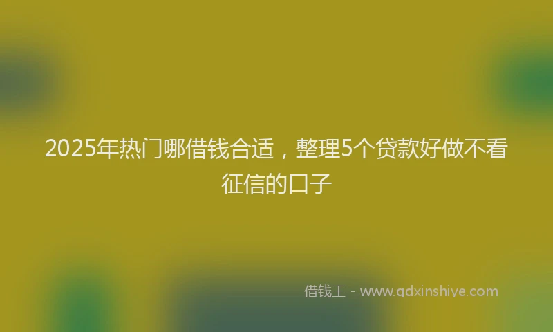 2025年热门哪借钱合适，整理5个贷款好做不看征信的口子