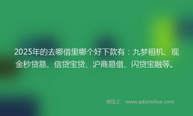 2025年的去哪借里哪个好下款有：九梦租机、现金秒贷易、信贷宝贷、沪商易借、闪贷宝融等。