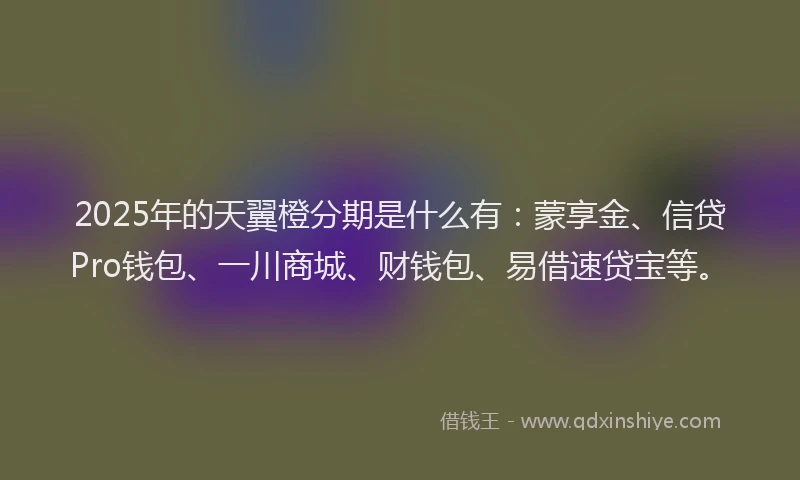 2025年的天翼橙分期是什么有：蒙享金、信贷Pro钱包、一川商城、财钱包、易借速贷宝等。