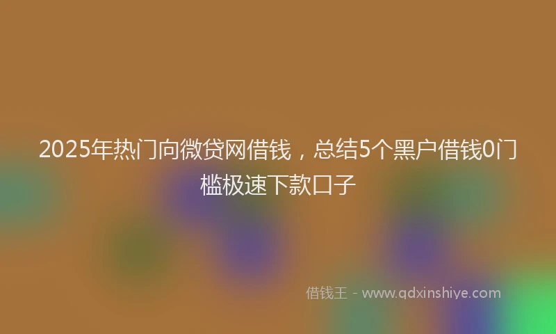 2025年热门向微贷网借钱，总结5个黑户借钱0门槛极速下款口子