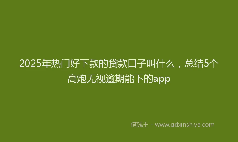 2025年热门好下款的贷款口子叫什么，总结5个高炮无视逾期能下的app
