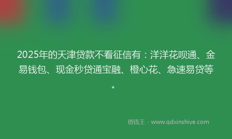 2025年的天津贷款不看征信有：洋洋花呗通、金易钱包、现金秒贷通宝融、橙心花、急速易贷等。