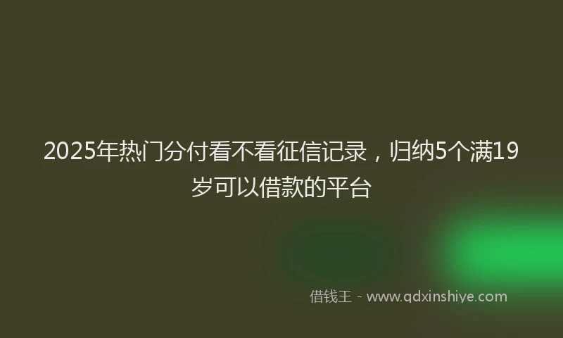 2025年热门分付看不看征信记录，归纳5个满19岁可以借款的平台