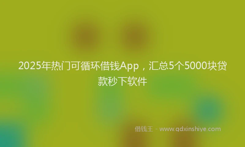 2025年热门可循环借钱App，汇总5个5000块贷款秒下软件