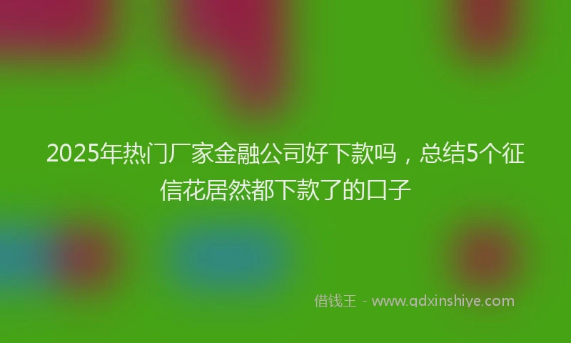 2025年热门厂家金融公司好下款吗，总结5个征信花居然都下款了的口子