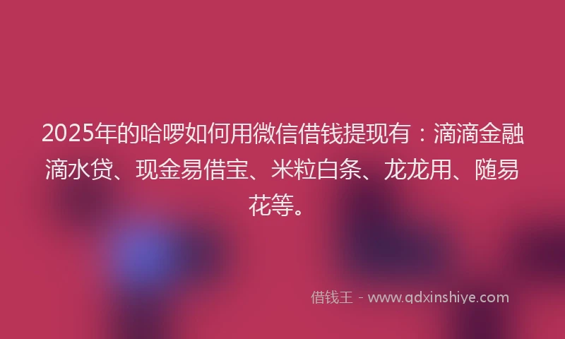 2025年的哈啰如何用微信借钱提现有：滴滴金融滴水贷、现金易借宝、米粒白条、龙龙用、随易花等。
