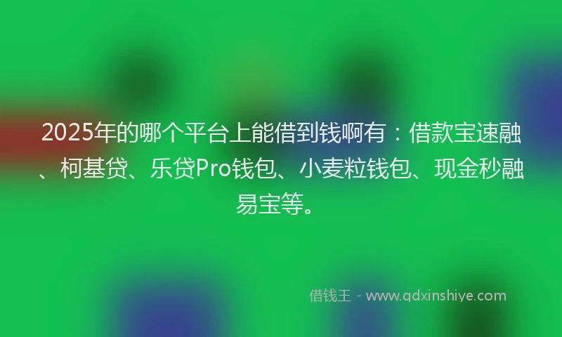 2025年的哪个平台上能借到钱啊有：借款宝速融、柯基贷、乐贷Pro钱包、小麦粒钱包、现金秒融易宝等。