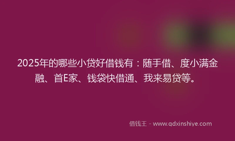 2025年的哪些小贷好借钱有：随手借、度小满金融、首E家、钱袋快借通、我来易贷等。