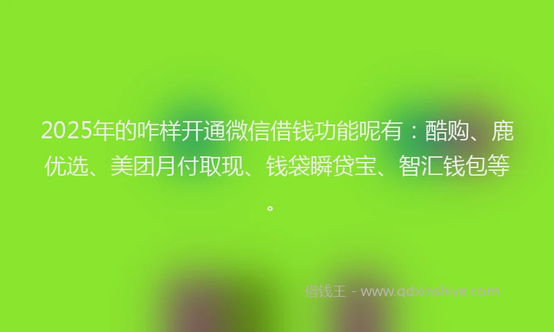 2025年的咋样开通微信借钱功能呢有：酷购、鹿优选、美团月付取现、钱袋瞬贷宝、智汇钱包等。