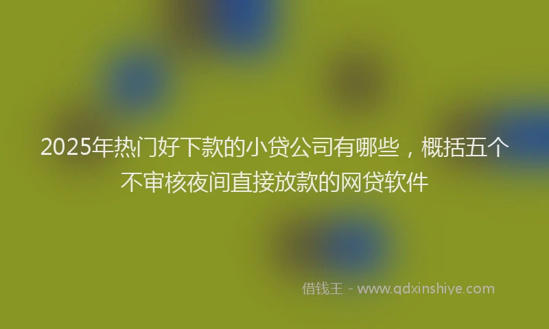 2025年热门好下款的小贷公司有哪些，概括五个不审核夜间直接放款的网贷软件