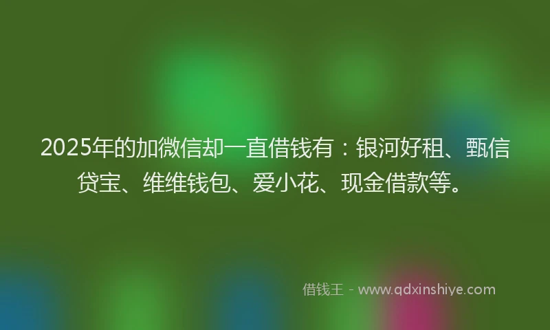 2025年的加微信却一直借钱有：银河好租、甄信贷宝、维维钱包、爱小花、现金借款等。
