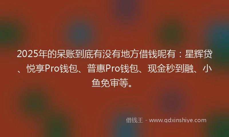 2025年的呆账到底有没有地方借钱呢有：星辉贷、悦享Pro钱包、普惠Pro钱包、现金秒到融、小鱼免审等。