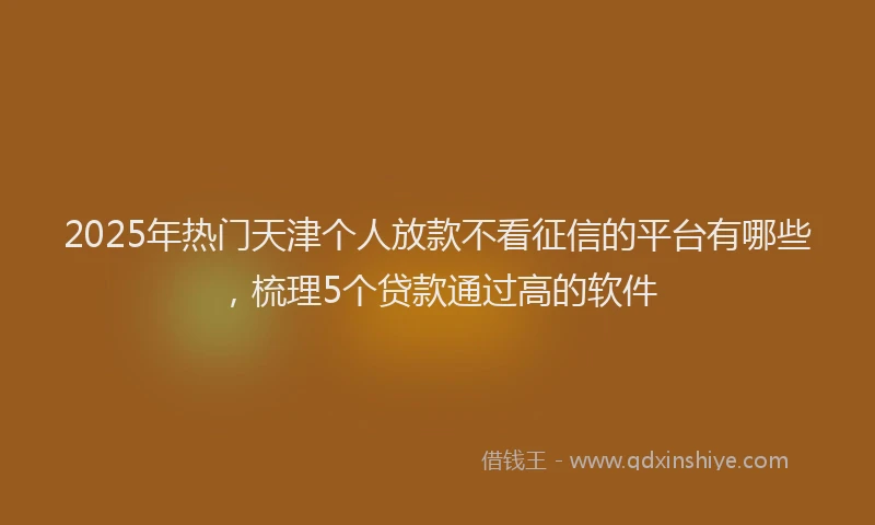 2025年热门天津个人放款不看征信的平台有哪些，梳理5个贷款通过高的软件