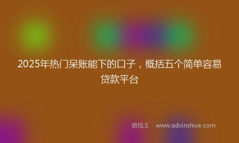 2025年热门呆账能下的口子，概括五个简单容易贷款平台