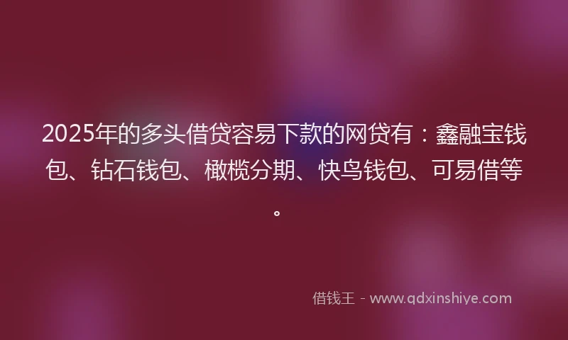 2025年的多头借贷容易下款的网贷有：鑫融宝钱包、钻石钱包、橄榄分期、快鸟钱包、可易借等。