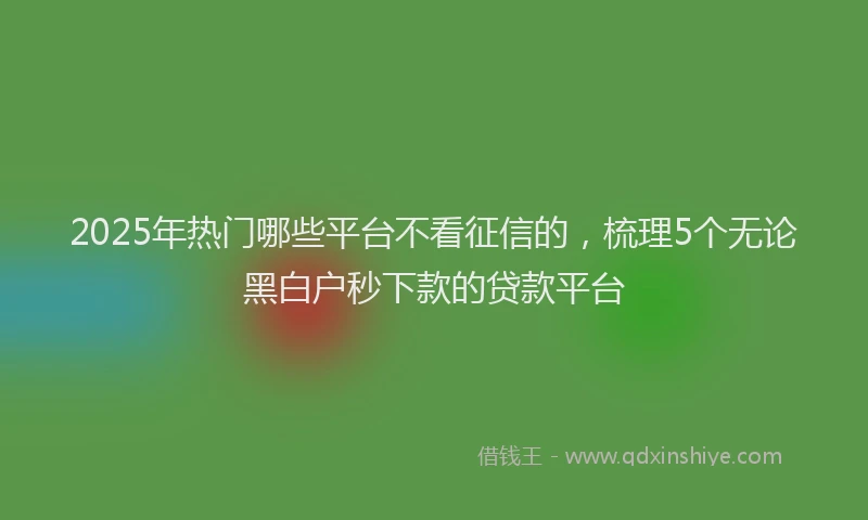 2025年热门哪些平台不看征信的，梳理5个无论黑白户秒下款的贷款平台