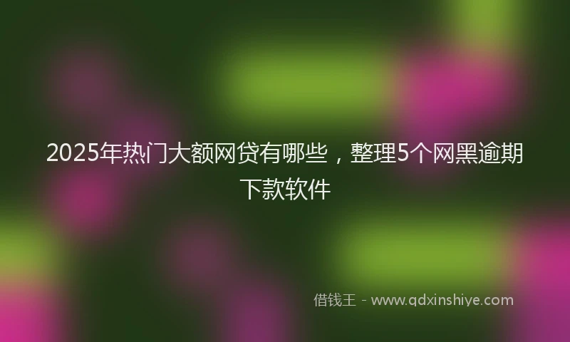 2025年热门大额网贷有哪些，整理5个网黑逾期下款软件