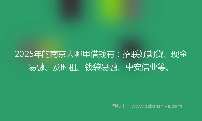 2025年的南京去哪里借钱有：招联好期贷、现金易融、及时租、钱袋易融、中安信业等。
