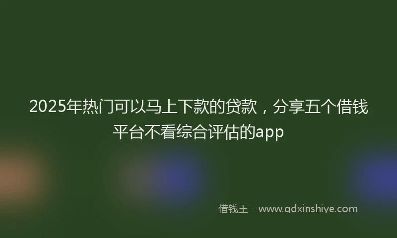 2025年热门可以马上下款的贷款，分享五个借钱平台不看综合评估的app