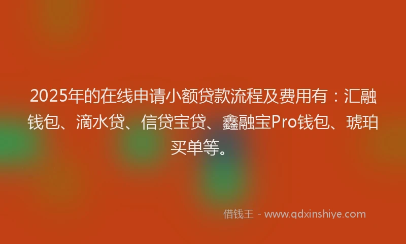 2025年的在线申请小额贷款流程及费用有：汇融钱包、滴水贷、信贷宝贷、鑫融宝Pro钱包、琥珀买单等。