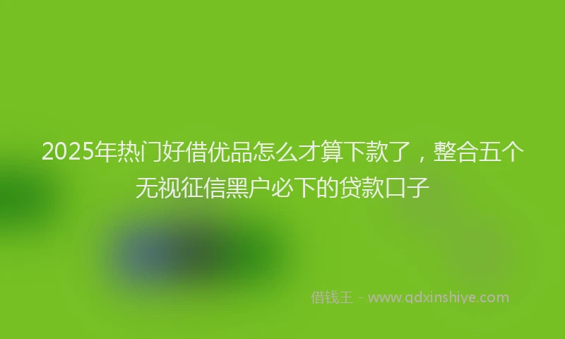 2025年热门好借优品怎么才算下款了，整合五个无视征信黑户必下的贷款口子