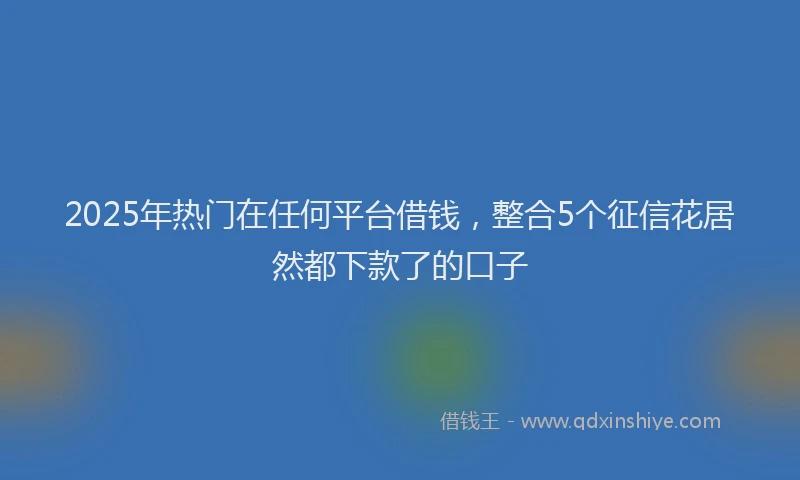 2025年热门在任何平台借钱，整合5个征信花居然都下款了的口子
