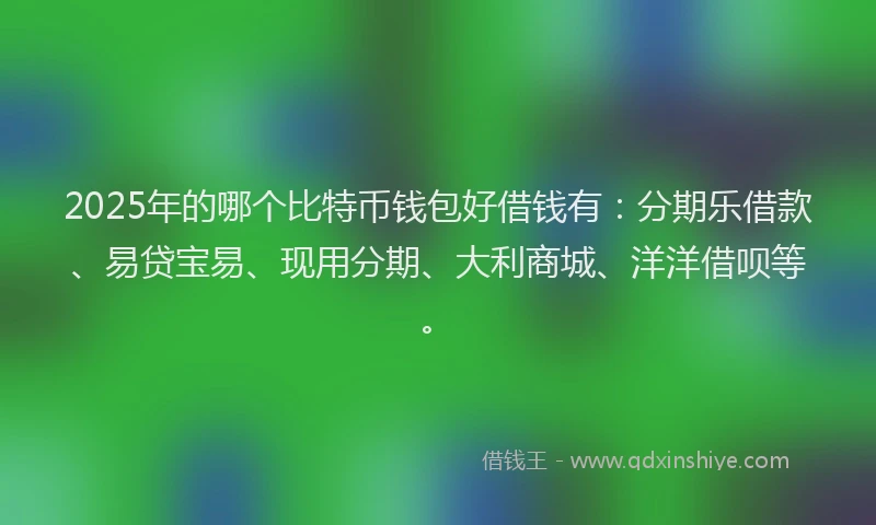 2025年的哪个比特币钱包好借钱有：分期乐借款、易贷宝易、现用分期、大利商城、洋洋借呗等。